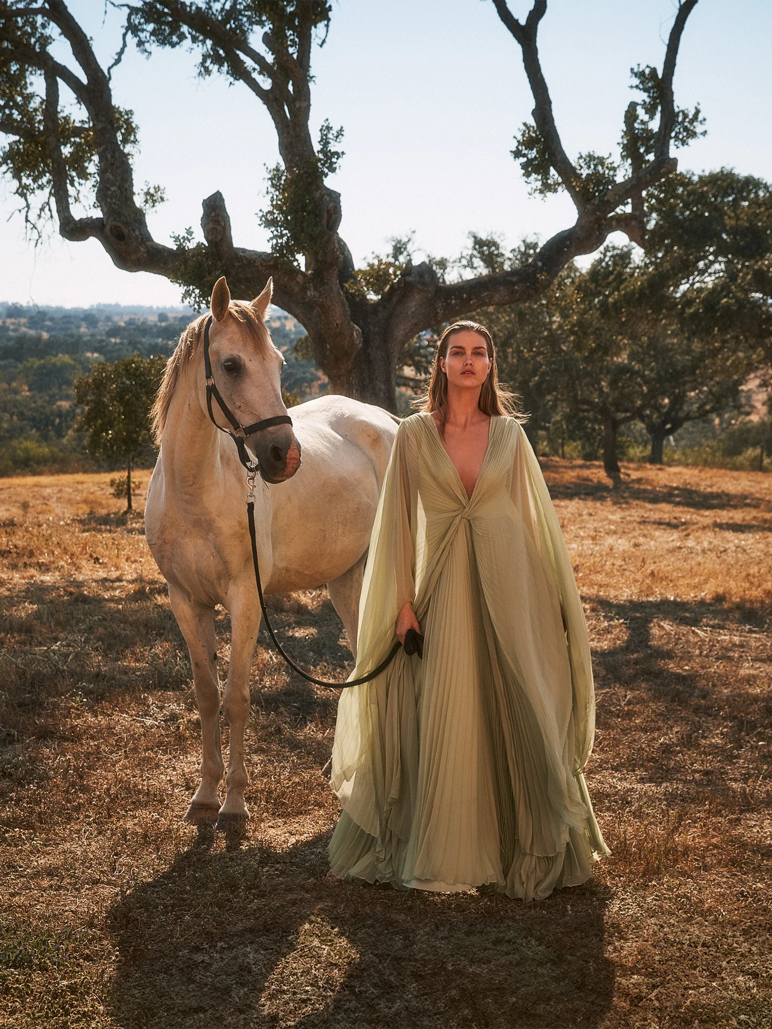 Serdena Dress - Image 4